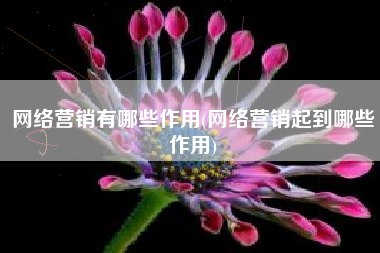 网络营销有哪些作用(网络营销起到哪些作用)