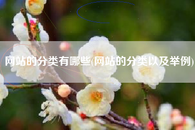 网站的分类有哪些(网站的分类以及举例)