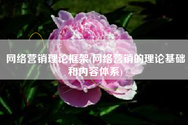 网络营销理论框架(网络营销的理论基础和内容体系)