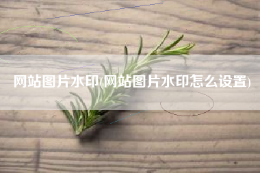 网站图片水印(网站图片水印怎么设置)