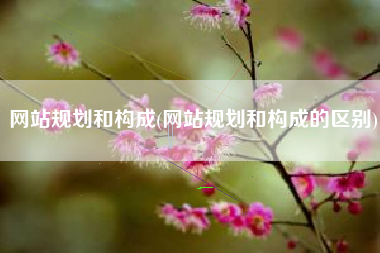 网站规划和构成(网站规划和构成的区别)