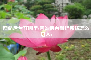网站后台在哪里(网站后台管理系统怎么进入)