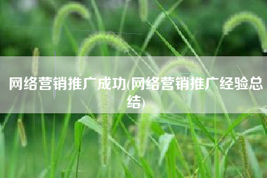 网络营销推广成功(网络营销推广经验总结)