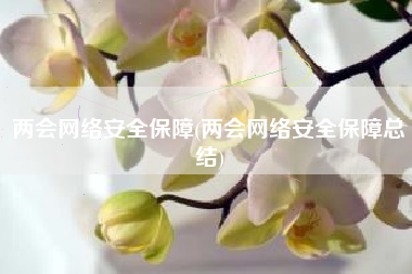 两会网络安全保障(两会网络安全保障总结)