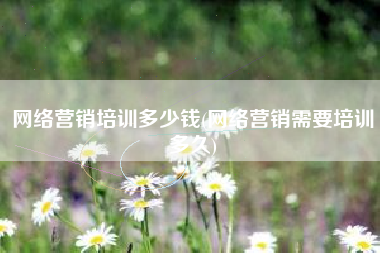网络营销培训多少钱(网络营销需要培训多久)