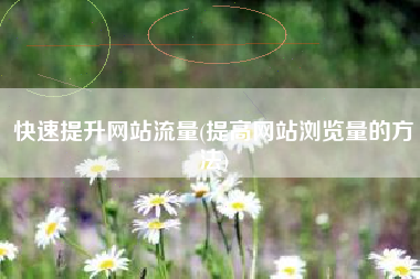 快速提升网站流量(提高网站浏览量的方法)