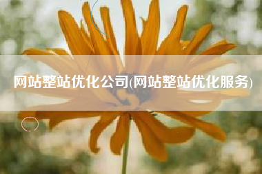 网站整站优化公司(网站整站优化服务)