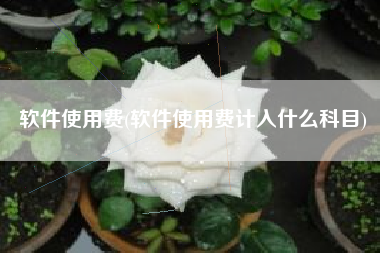 软件使用费(软件使用费计入什么科目)