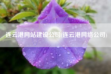 连云港网站建设公司(连云港网络公司)