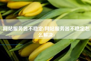 网站服务器不稳定(网站服务器不稳定怎么解决)