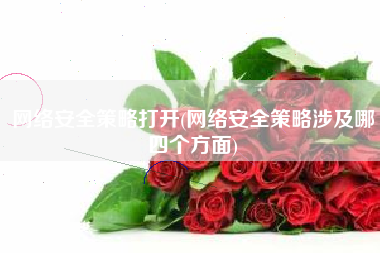 网络安全策略打开(网络安全策略涉及哪四个方面)
