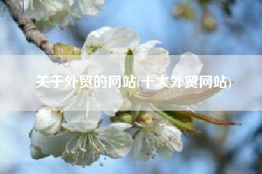关于外贸的网站(十大外贸网站)
