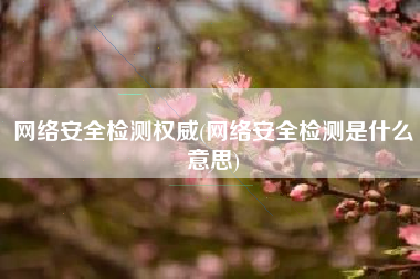 网络安全检测权威(网络安全检测是什么意思)