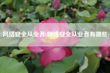 网络安全从业者(网络安全从业者有哪些)