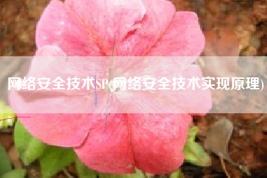 网络安全技术SP(网络安全技术实现原理)