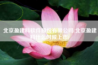 北京盈建科软件股份有限公司(北京盈建科什么时候上市)