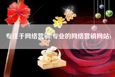 专注于网络营销(专业的网络营销网站)