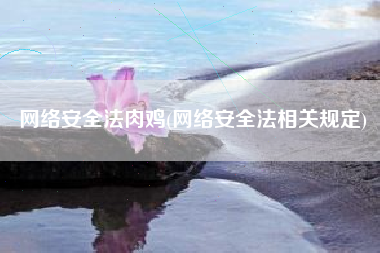 网络安全法肉鸡(网络安全法相关规定)
