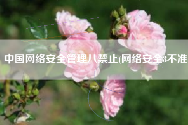 中国网络安全管理八禁止(网络安全8不准)