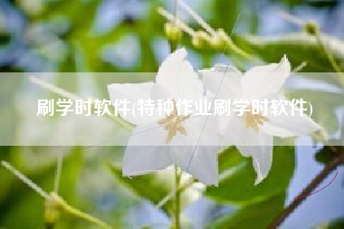 刷学时软件(特种作业刷学时软件)