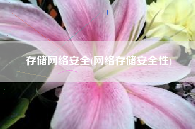 存储网络安全(网络存储安全性)