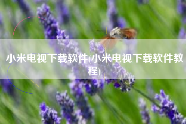 小米电视下载软件(小米电视下载软件教程)