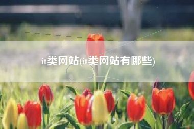 it类网站(it类网站有哪些)