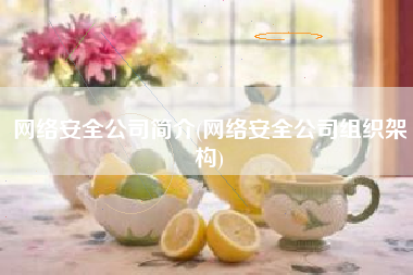 网络安全公司简介(网络安全公司组织架构)