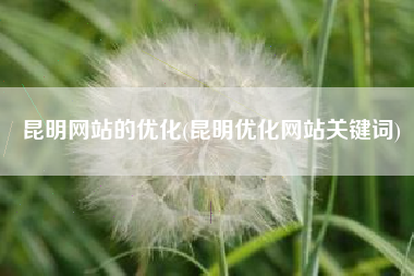 昆明网站的优化(昆明优化网站关键词)