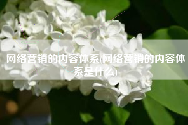 网络营销的内容体系(网络营销的内容体系是什么)