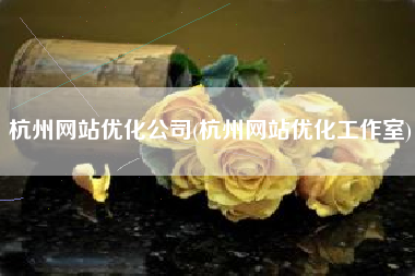 杭州网站优化公司(杭州网站优化工作室)