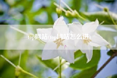 top网站(top网站怎么进)