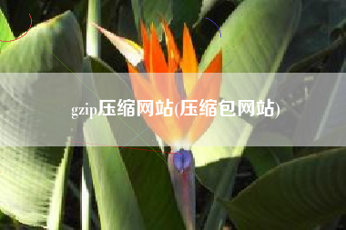 gzip压缩网站(压缩包网站)