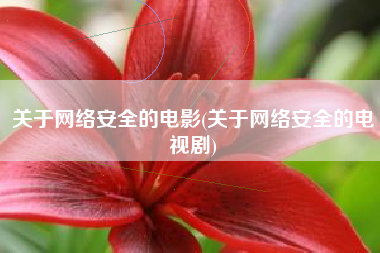 关于网络安全的电影(关于网络安全的电视剧)