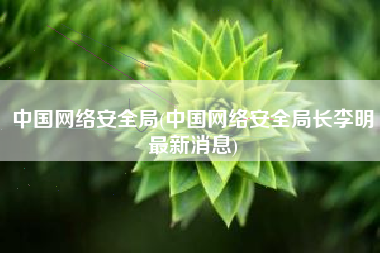 中国网络安全局(中国网络安全局长李明最新消息)