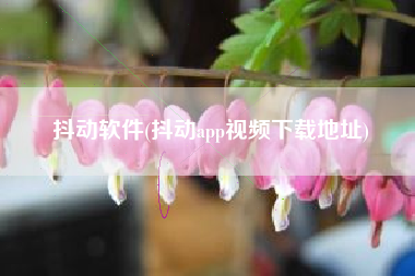 抖动软件(抖动app视频下载地址)