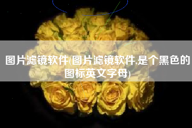 图片滤镜软件(图片滤镜软件,是个黑色的图标英文字母)