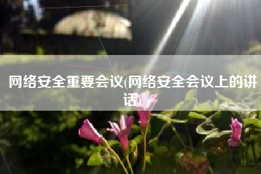 网络安全重要会议(网络安全会议上的讲话)
