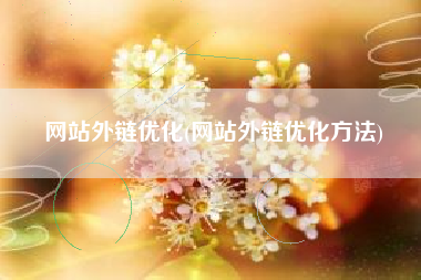 网站外链优化(网站外链优化方法)