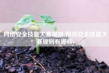 网络安全技能大赛规则(网络安全技能大赛规则有哪些)