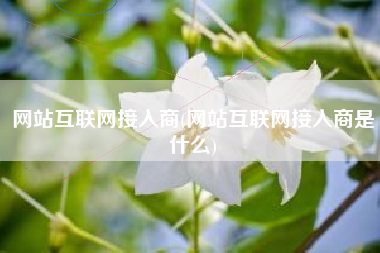 网站互联网接入商(网站互联网接入商是什么)