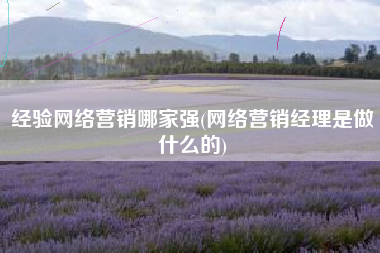 经验网络营销哪家强(网络营销经理是做什么的)