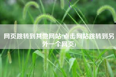网页跳转到其他网站(点击网站跳转到另外一个网页)