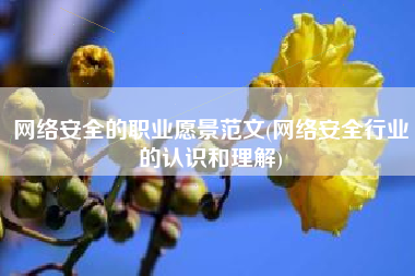 网络安全的职业愿景范文(网络安全行业的认识和理解)