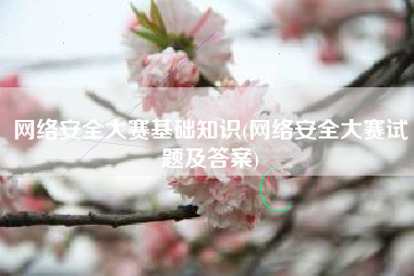 网络安全大赛基础知识(网络安全大赛试题及答案)