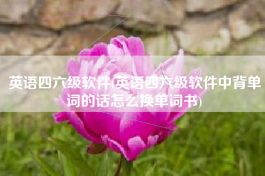 英语四六级软件(英语四六级软件中背单词的话怎么换单词书)