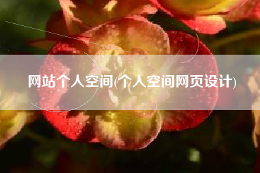 网站个人空间(个人空间网页设计)