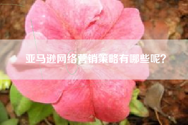 亚马逊网络营销策略有哪些呢？
