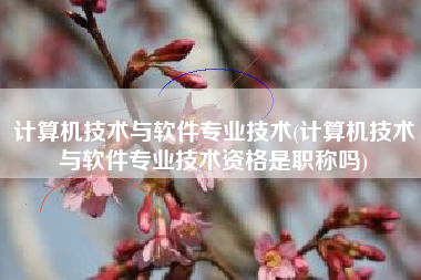 计算机技术与软件专业技术(计算机技术与软件专业技术资格是职称吗)