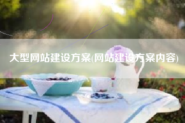 大型网站建设方案(网站建设方案内容)